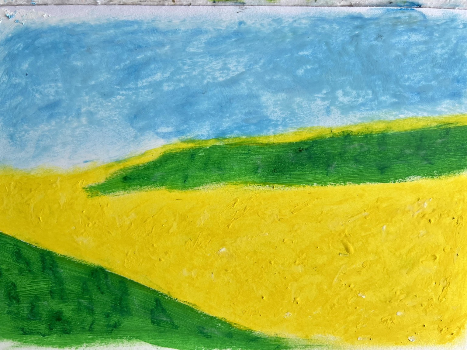 canola fields - image 1 - student project