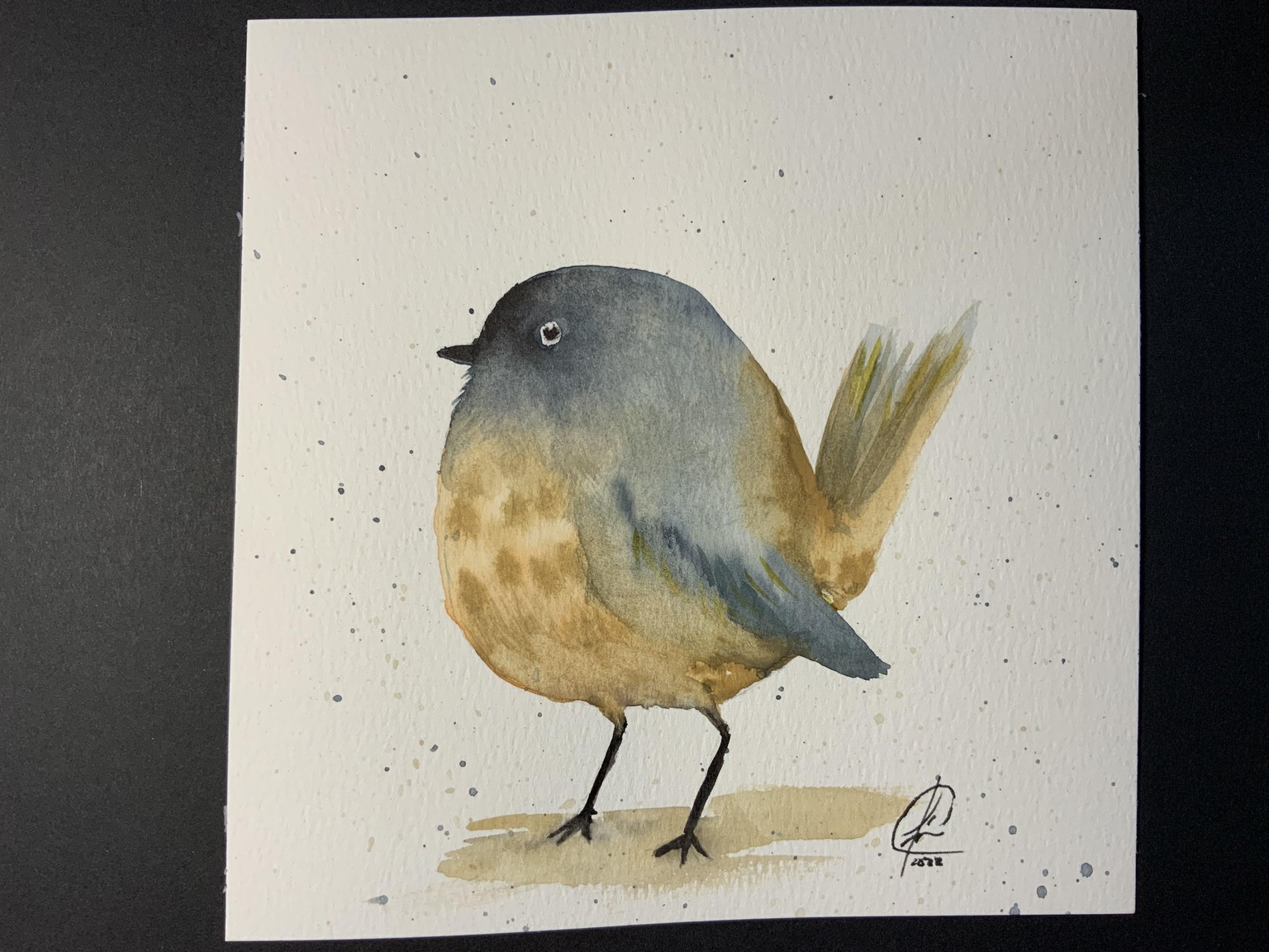 Watercolor birds - image 2 - student project