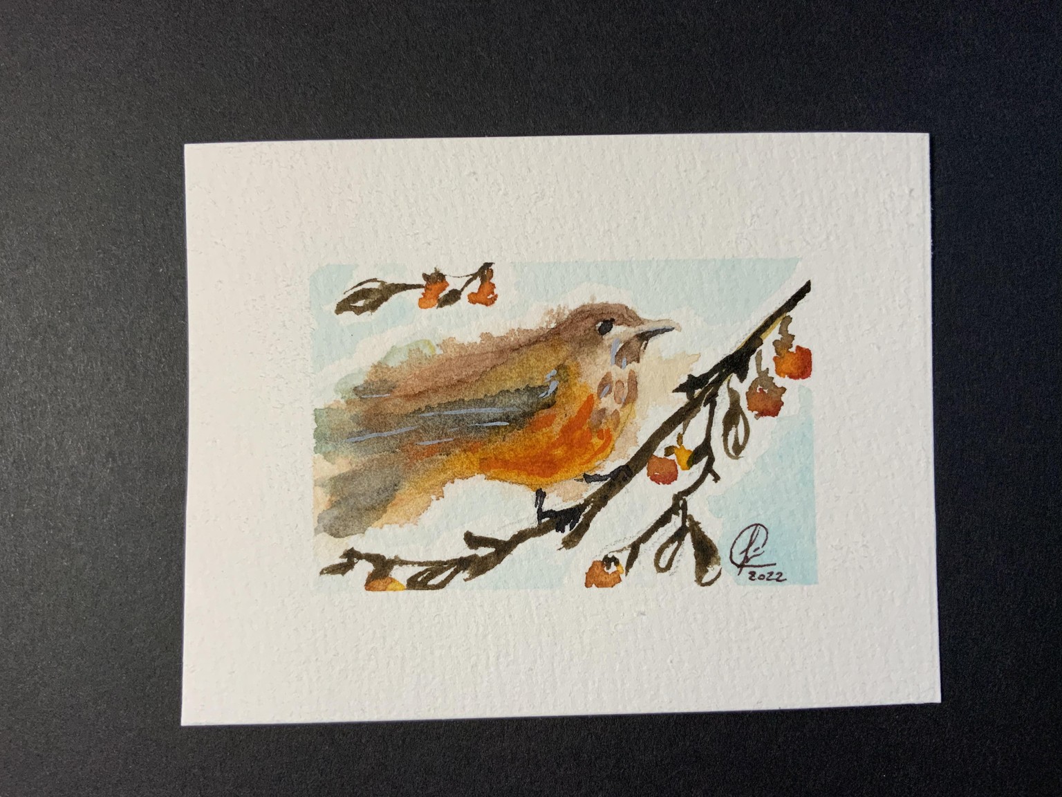 Watercolor birds - image 1 - student project