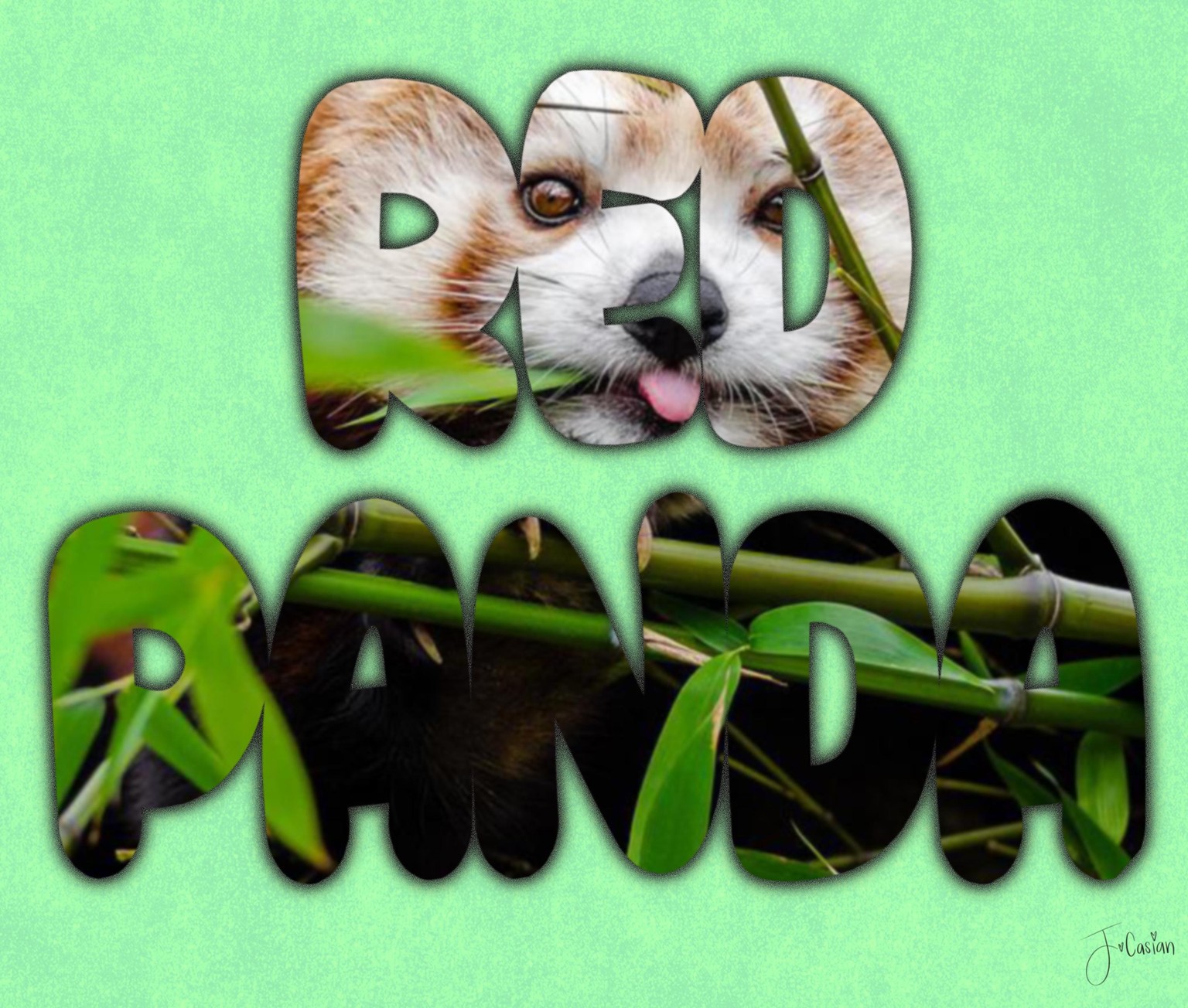 Dynamic Titles - image 1 - student project