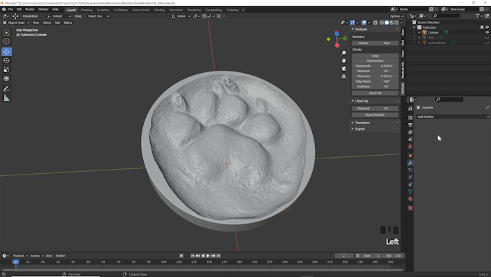 Ollie's Paw - image 1 - student project