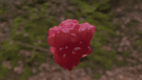 Alien Slime...? - image 1 - student project