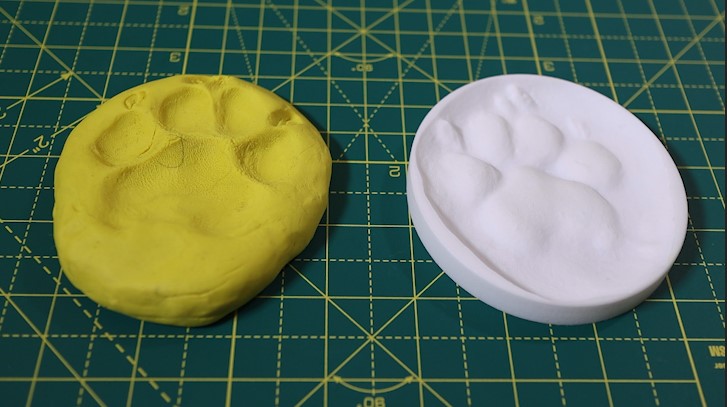 Ollie's Paw - image 2 - student project