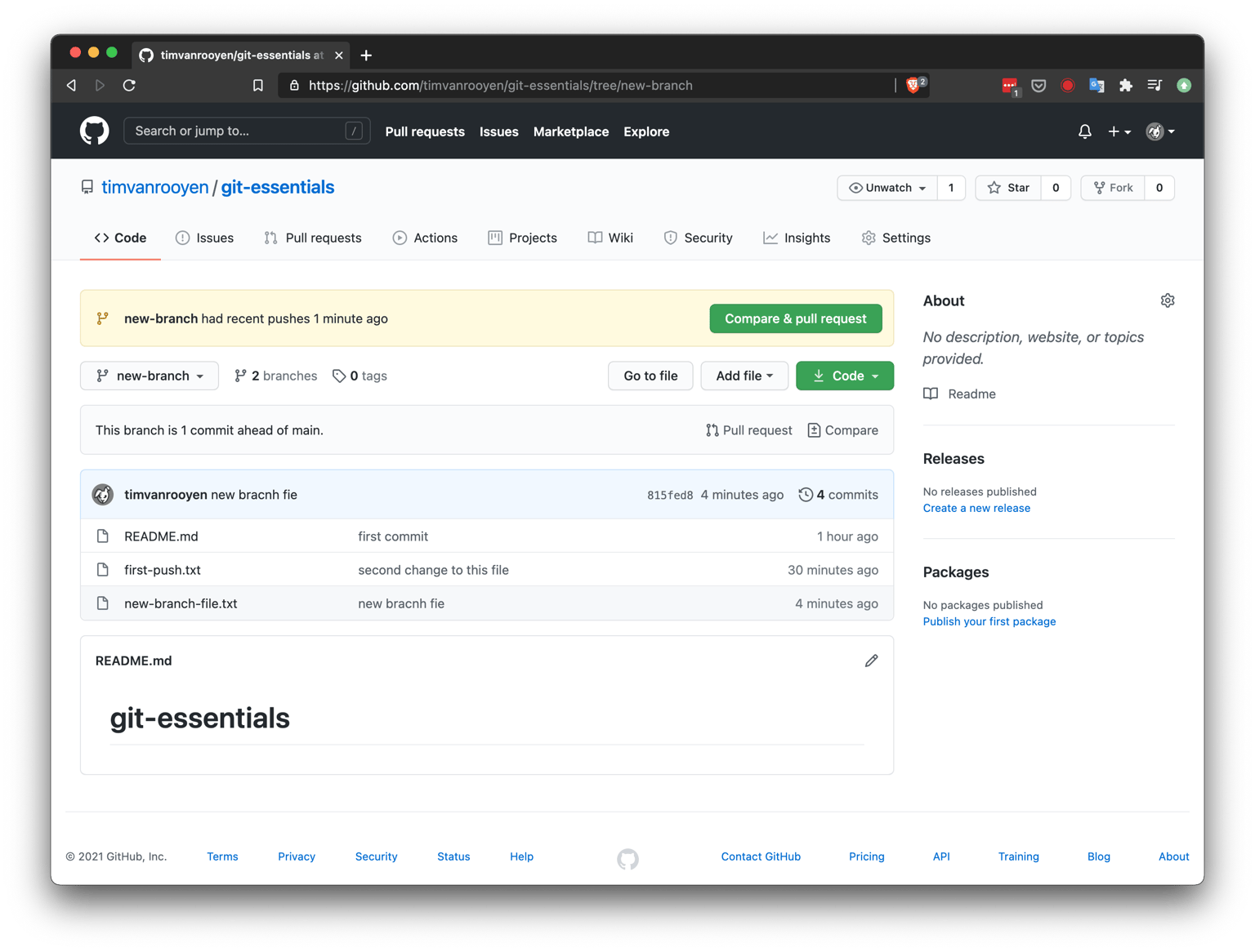 Tim van Rooyen - Git Essentials - image 2 - student project