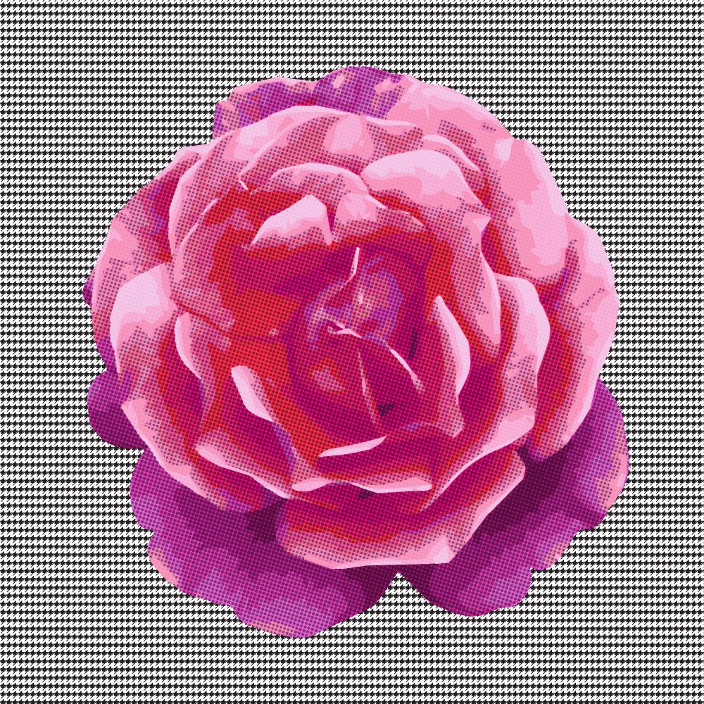 Houndstooth Rose - image 1 - student project