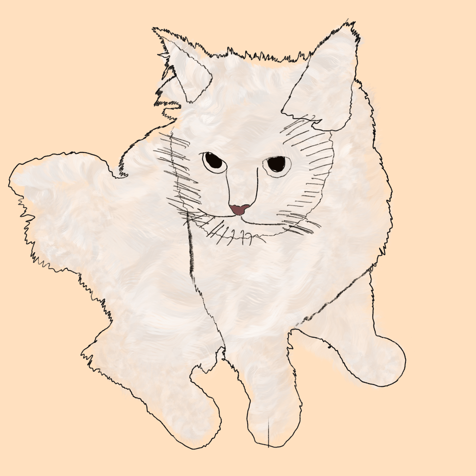 Cat at home - image 1 - student project