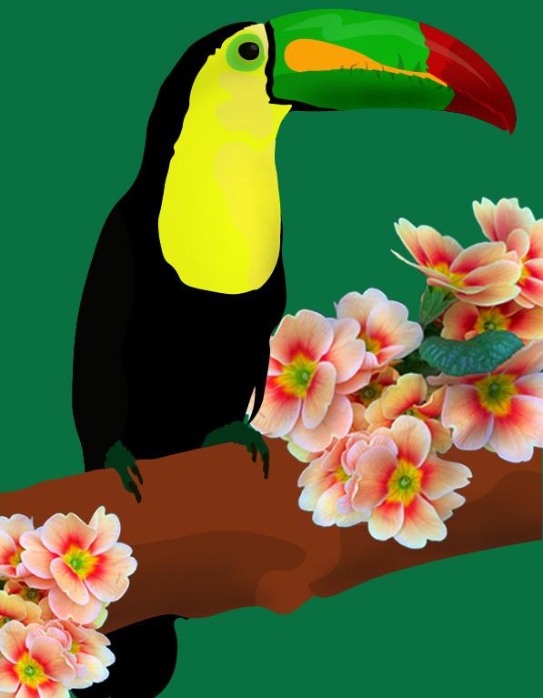 Projects - image 1 - student project