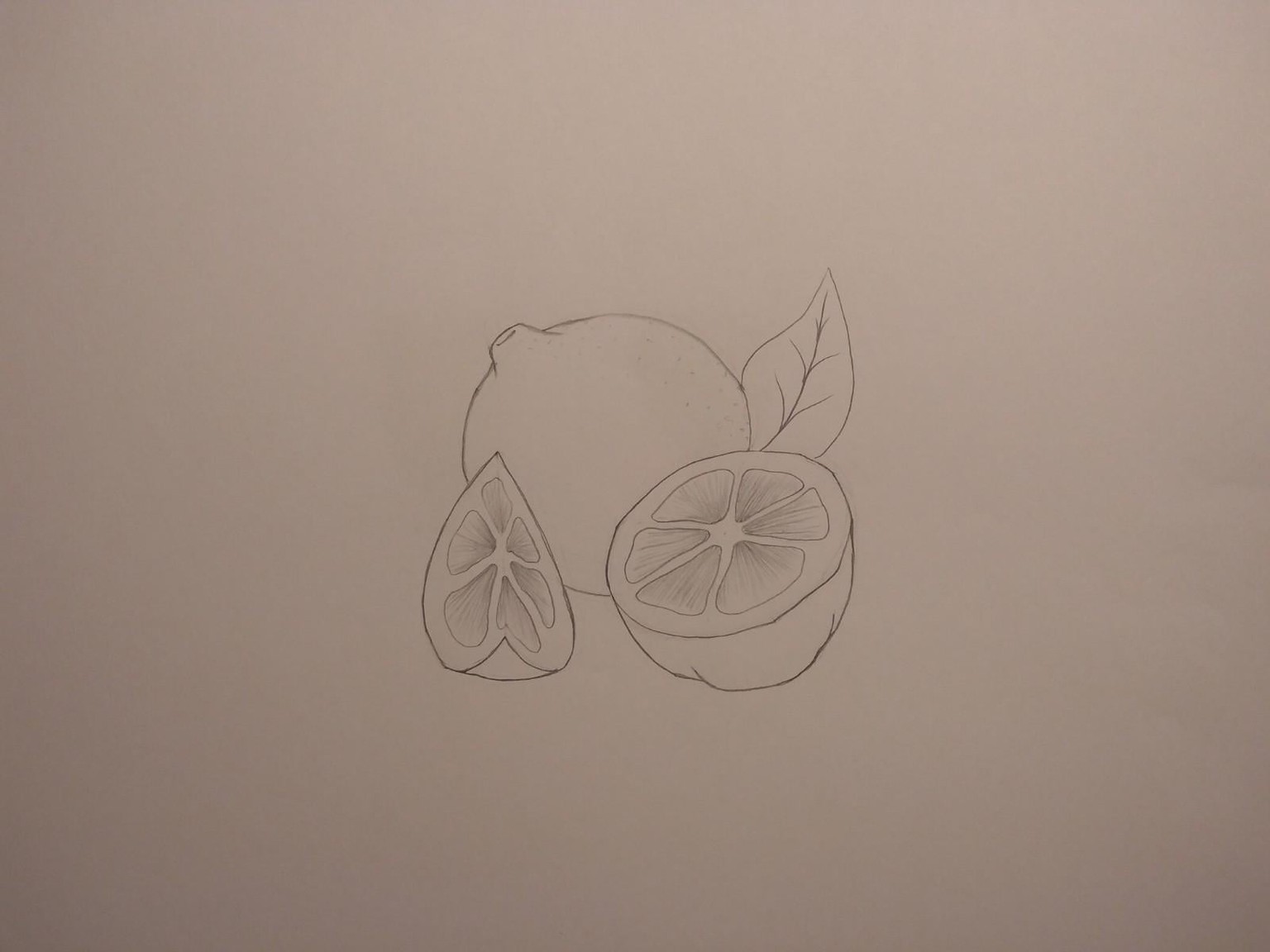 Drawing fundamentals2 - image 17 - student project