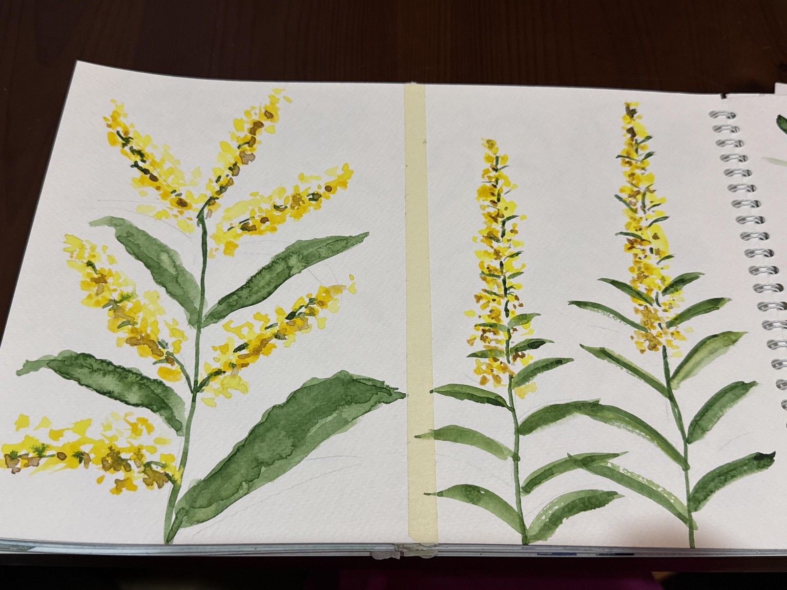 15 days of Floral practice - image 13 - student project