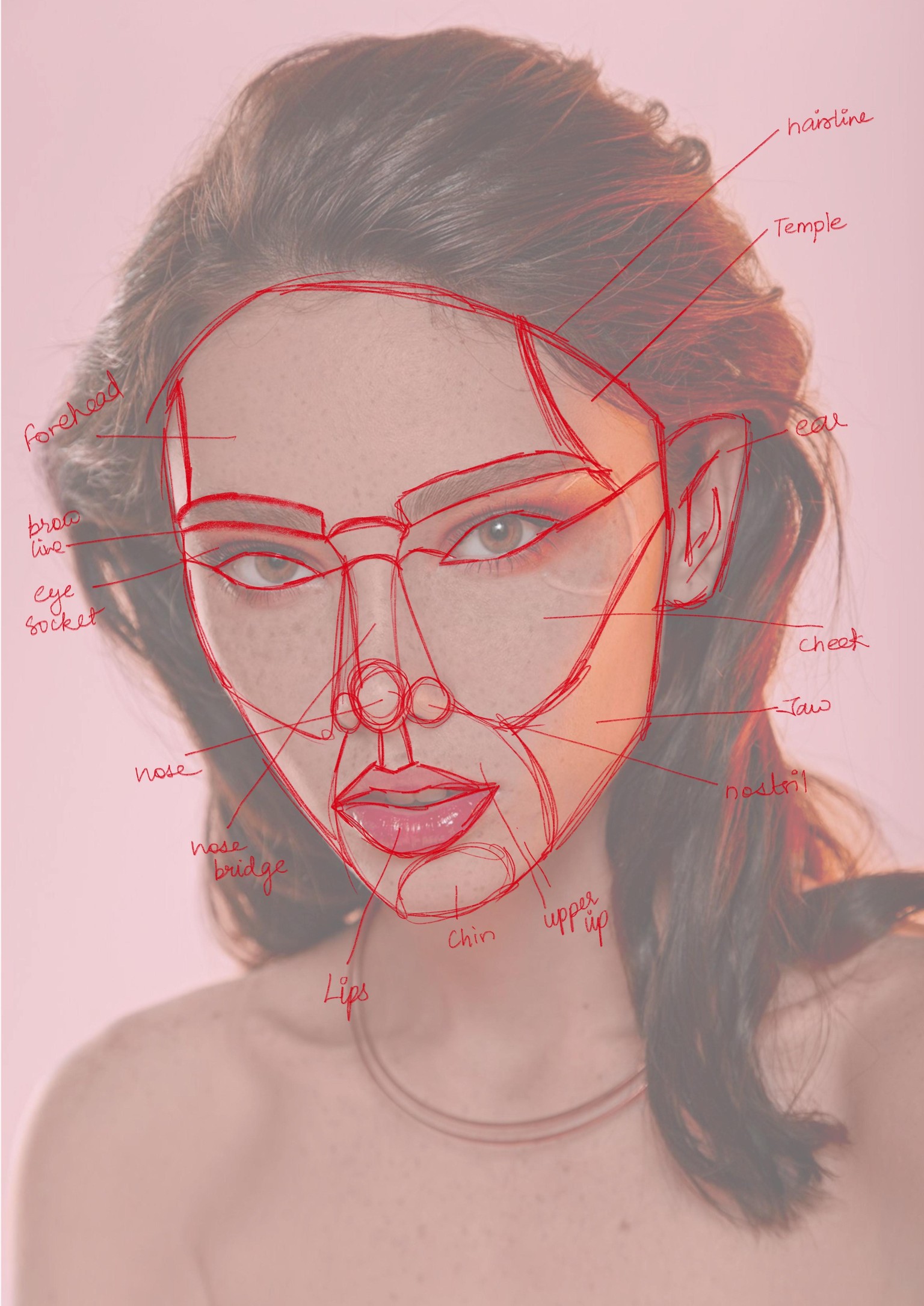portrait sketching process - image 1 - student project