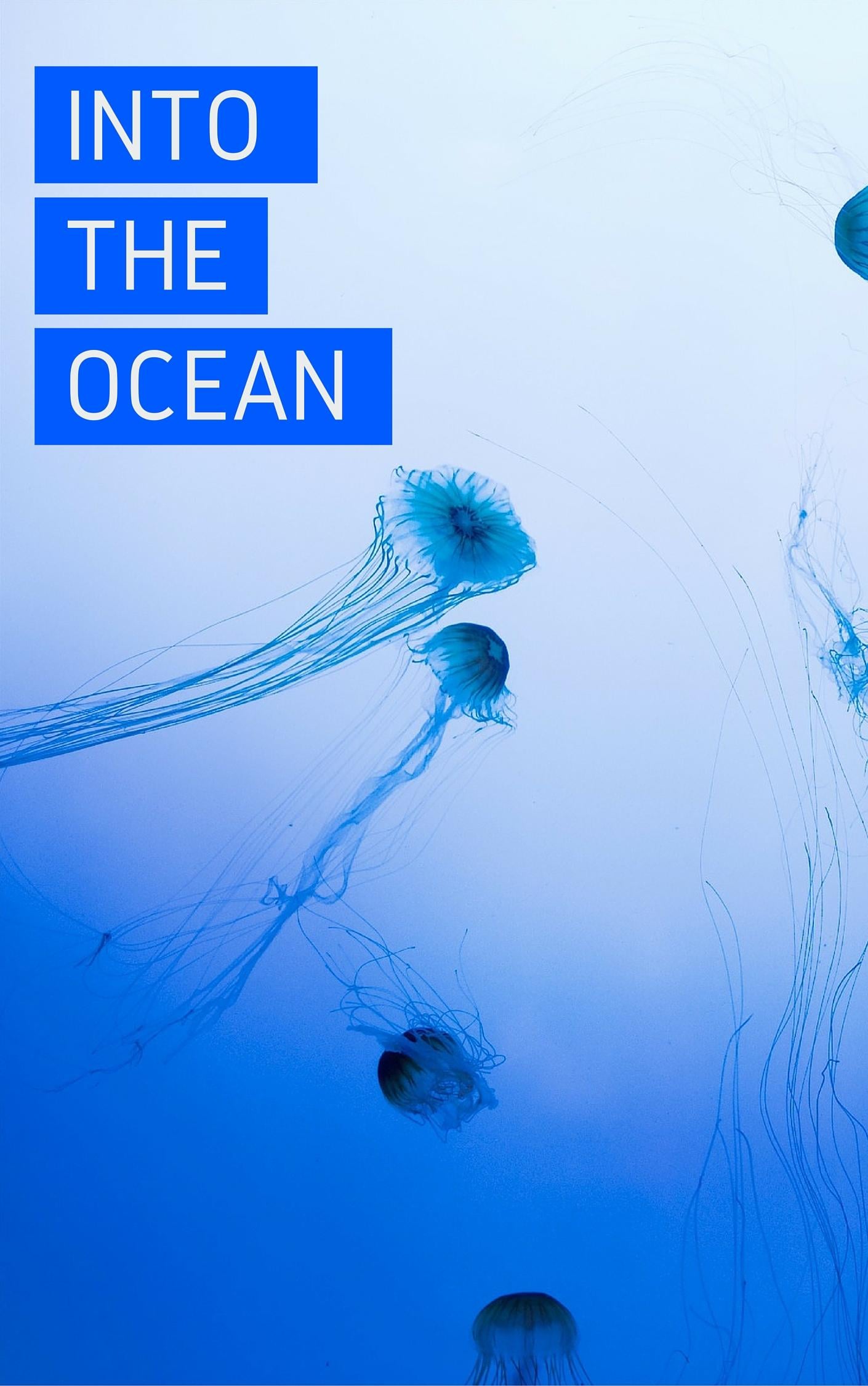 Check out my Assignment I did! - image 1 - student project