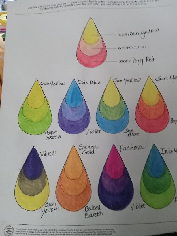 Derwent Inktense Pencils - image 4 - student project