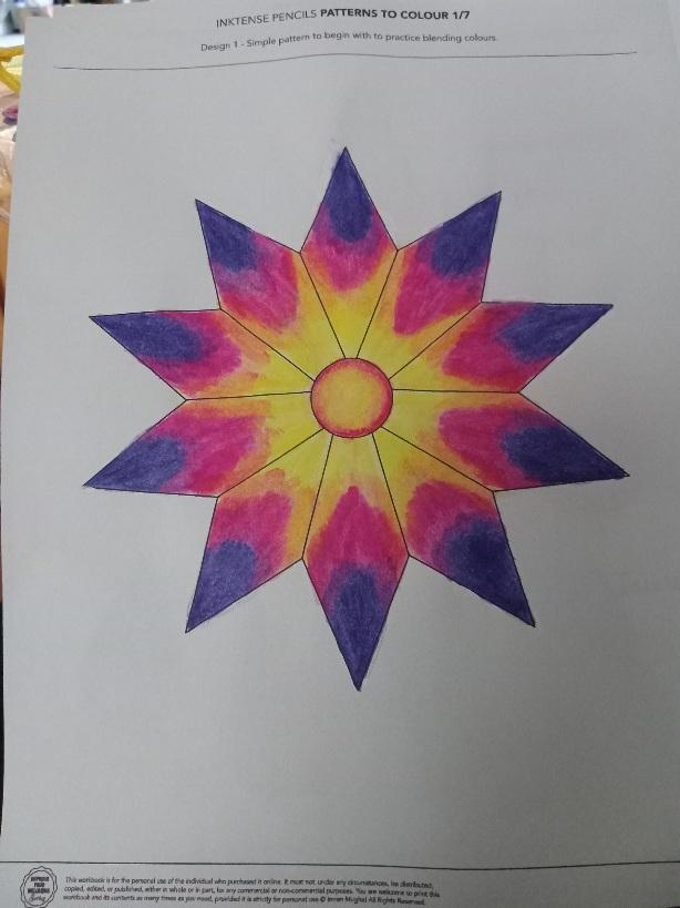 Derwent Inktense Pencils - image 3 - student project