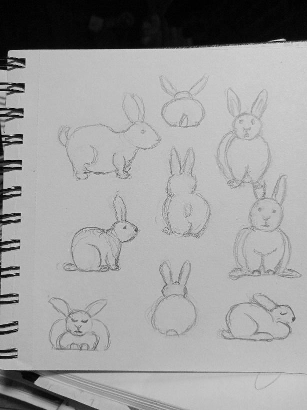 Bunnies - image 1 - student project