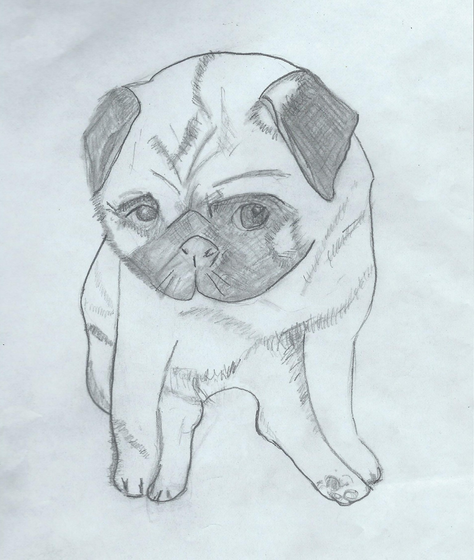 Pet Portrait Halftone - image 3 - student project