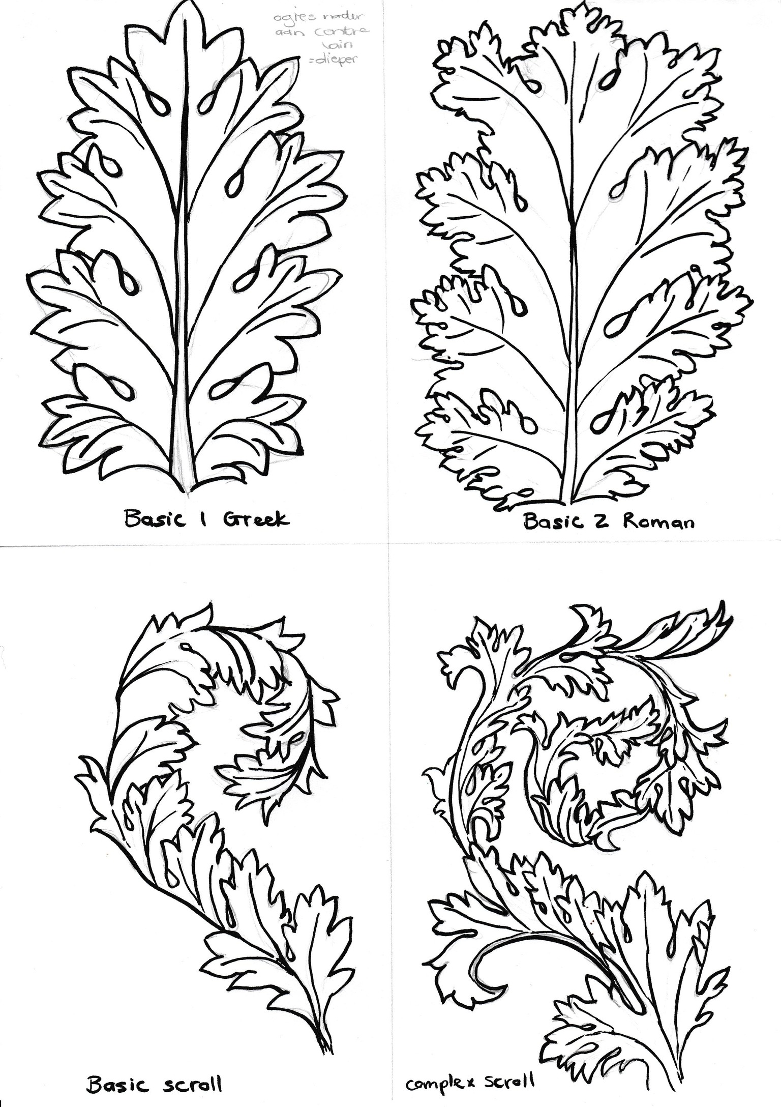 acanthus - image 1 - student project