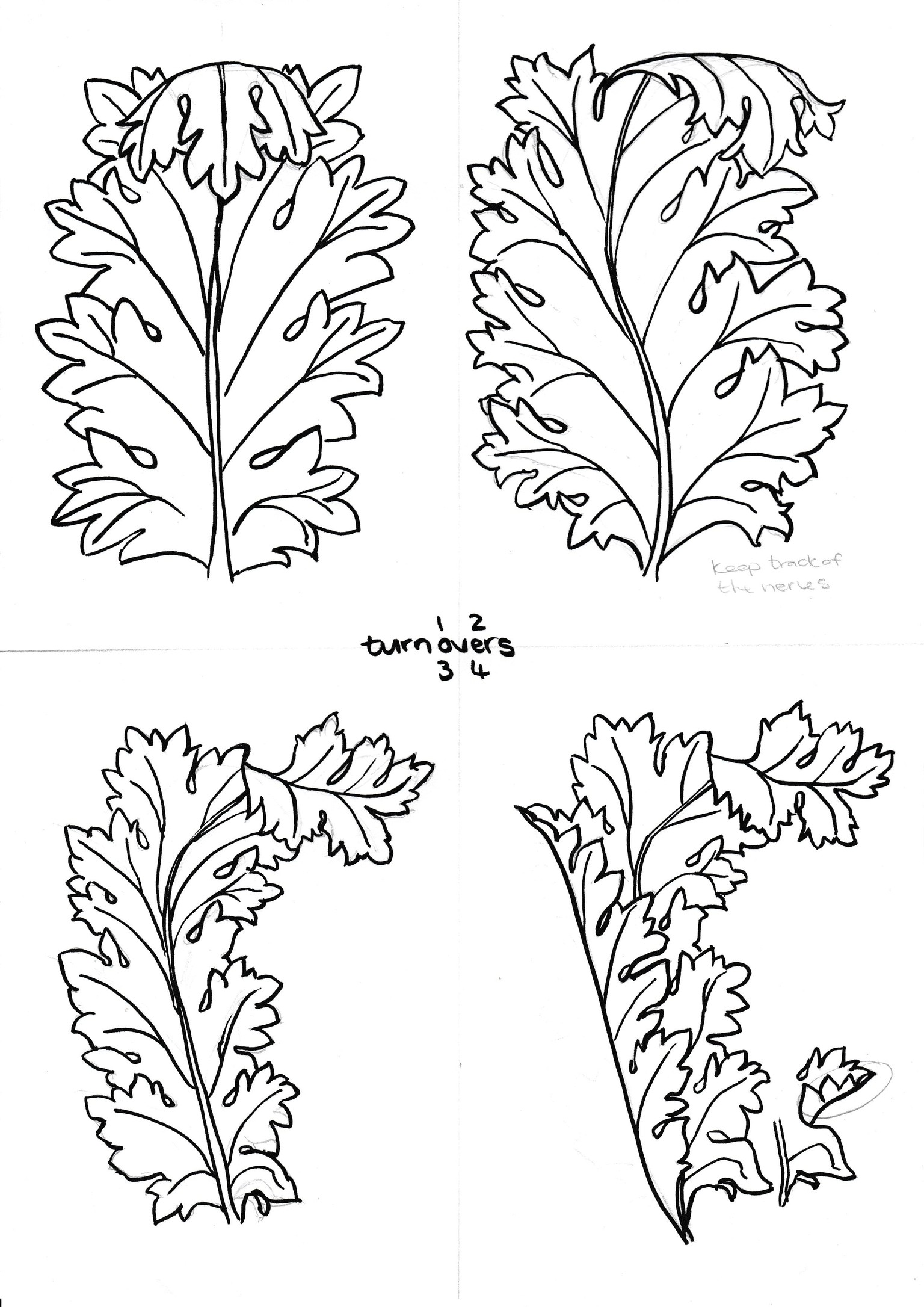 acanthus - image 2 - student project