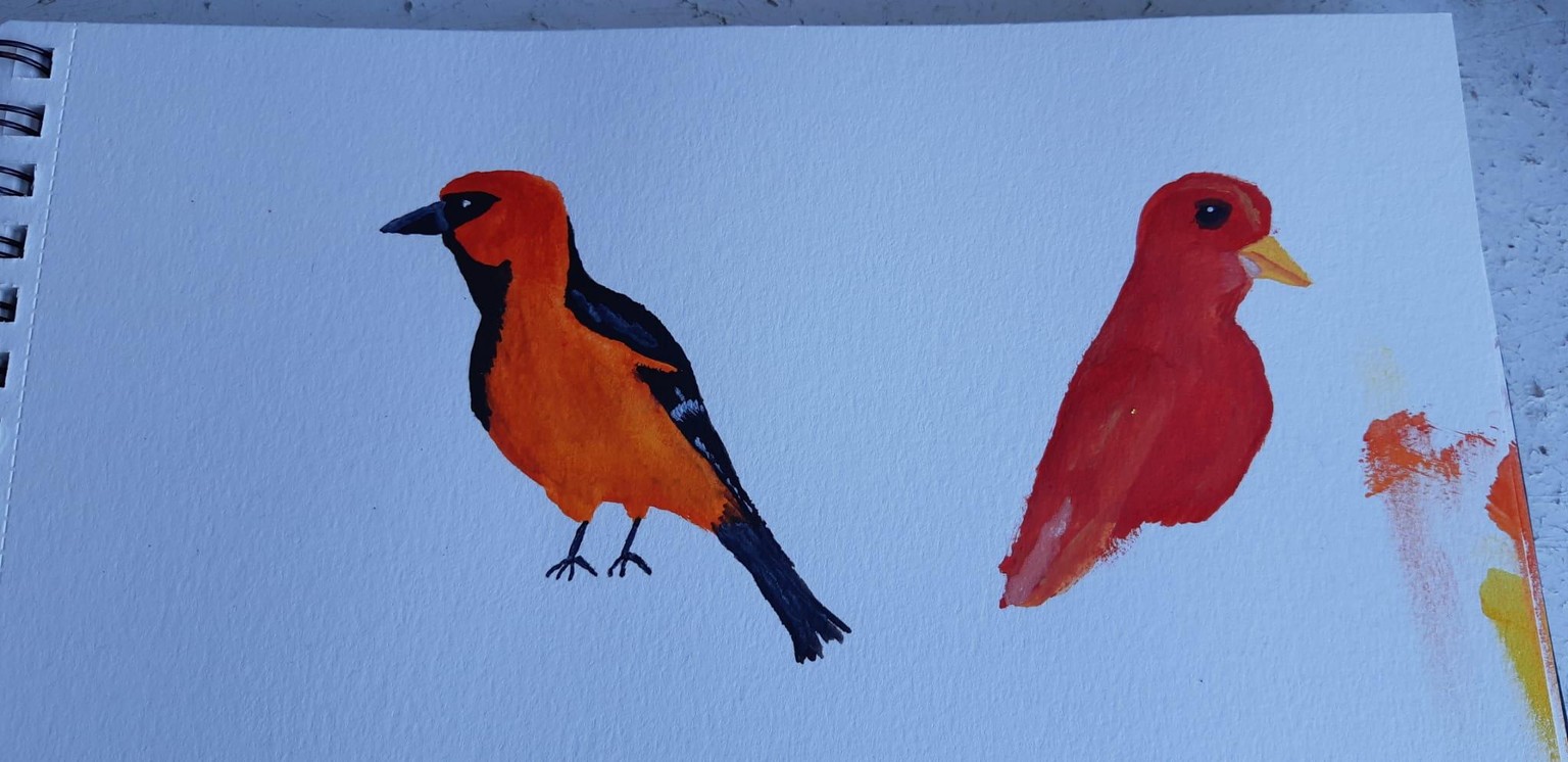 Discovering Gouache - image 7 - student project