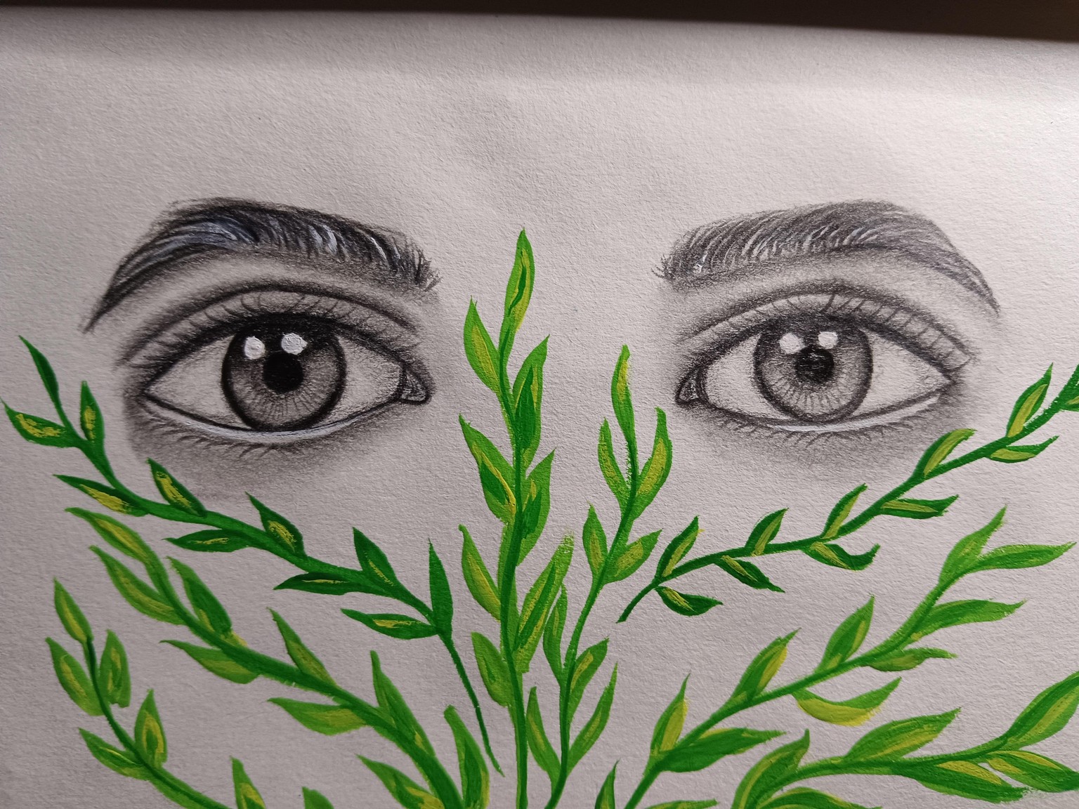 Drawing eyes - image 1 - student project