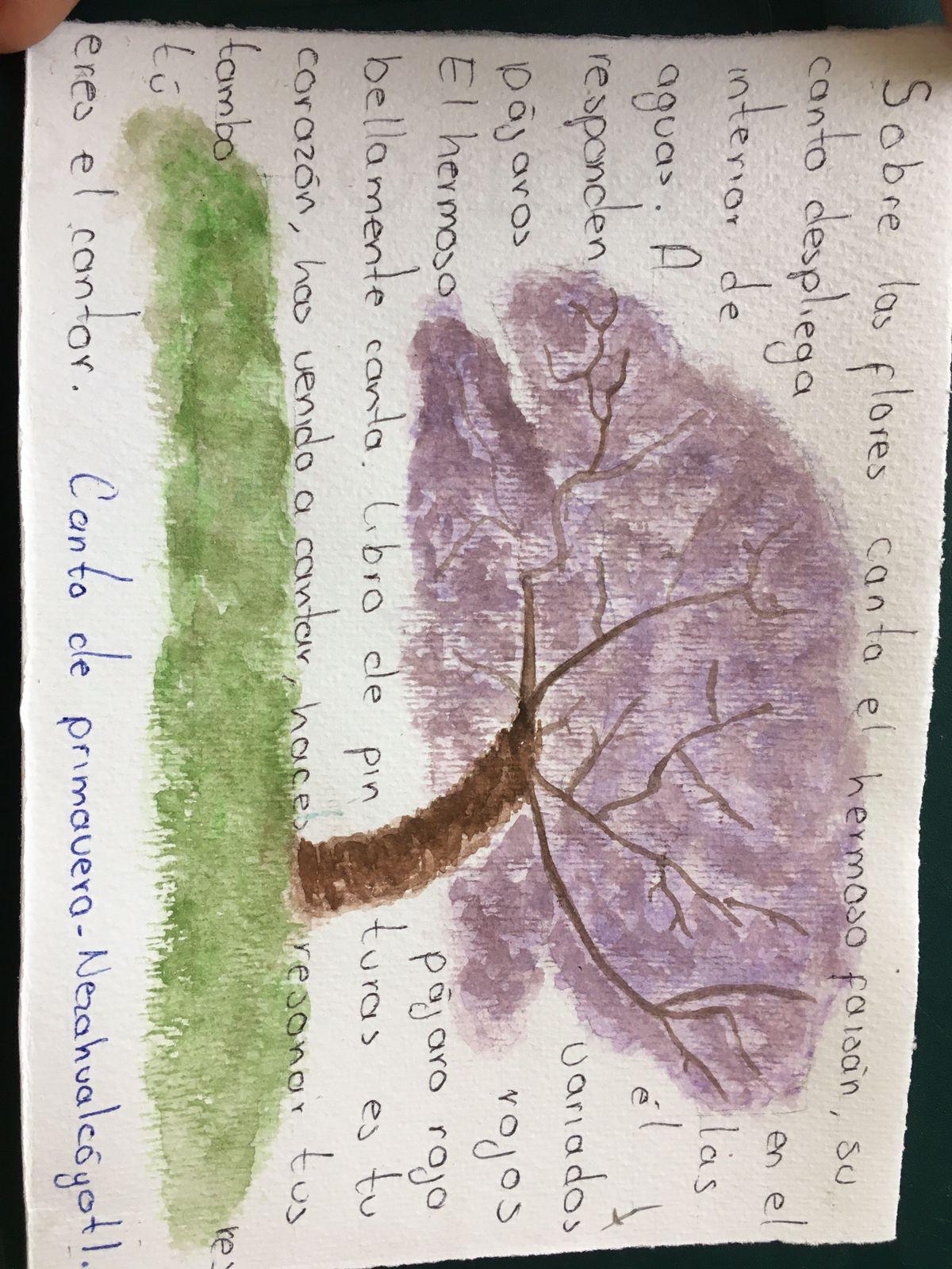 Jacaranda - image 1 - student project