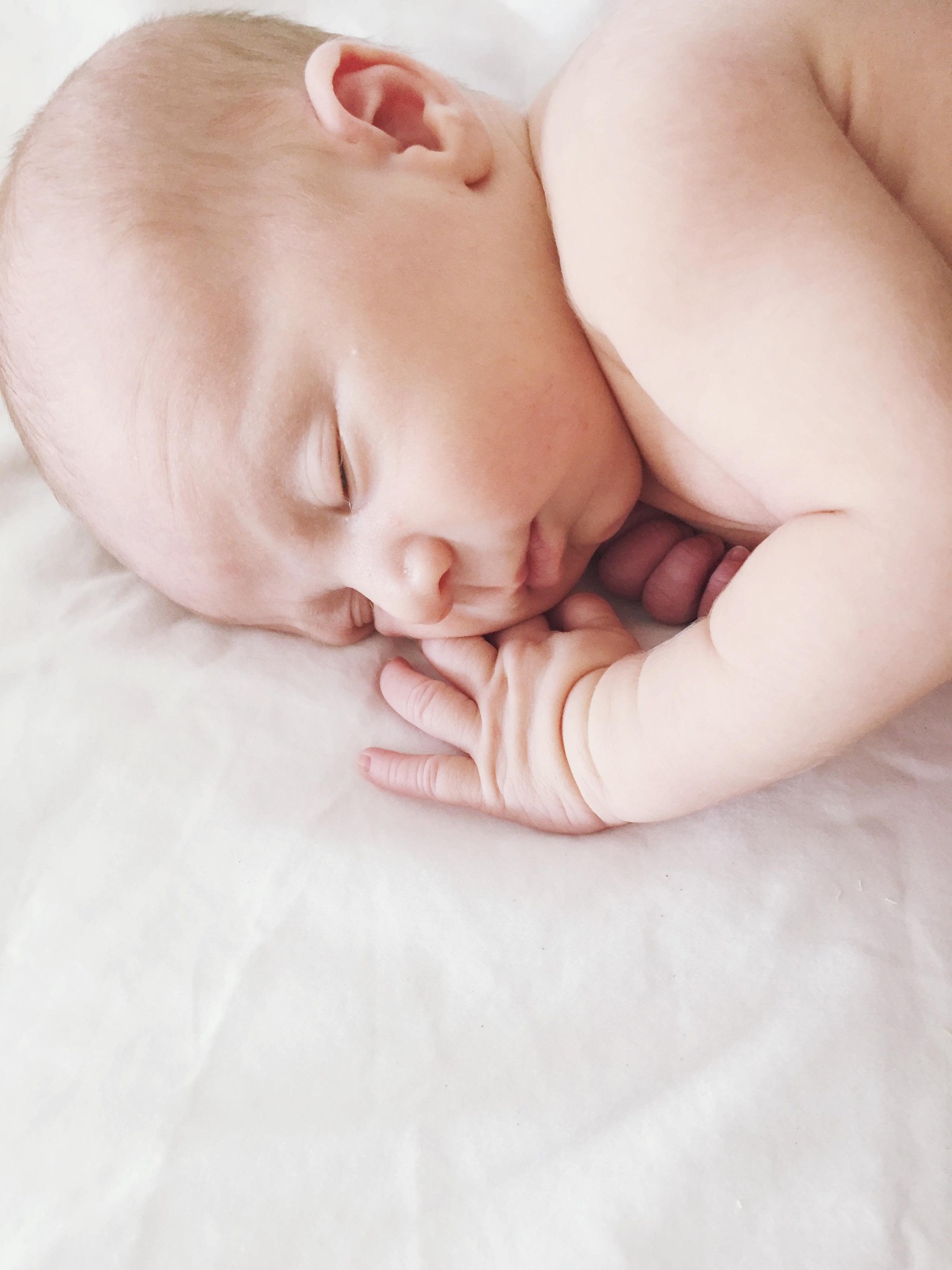 My Nephew's Newborn Photos - image 2 - student project