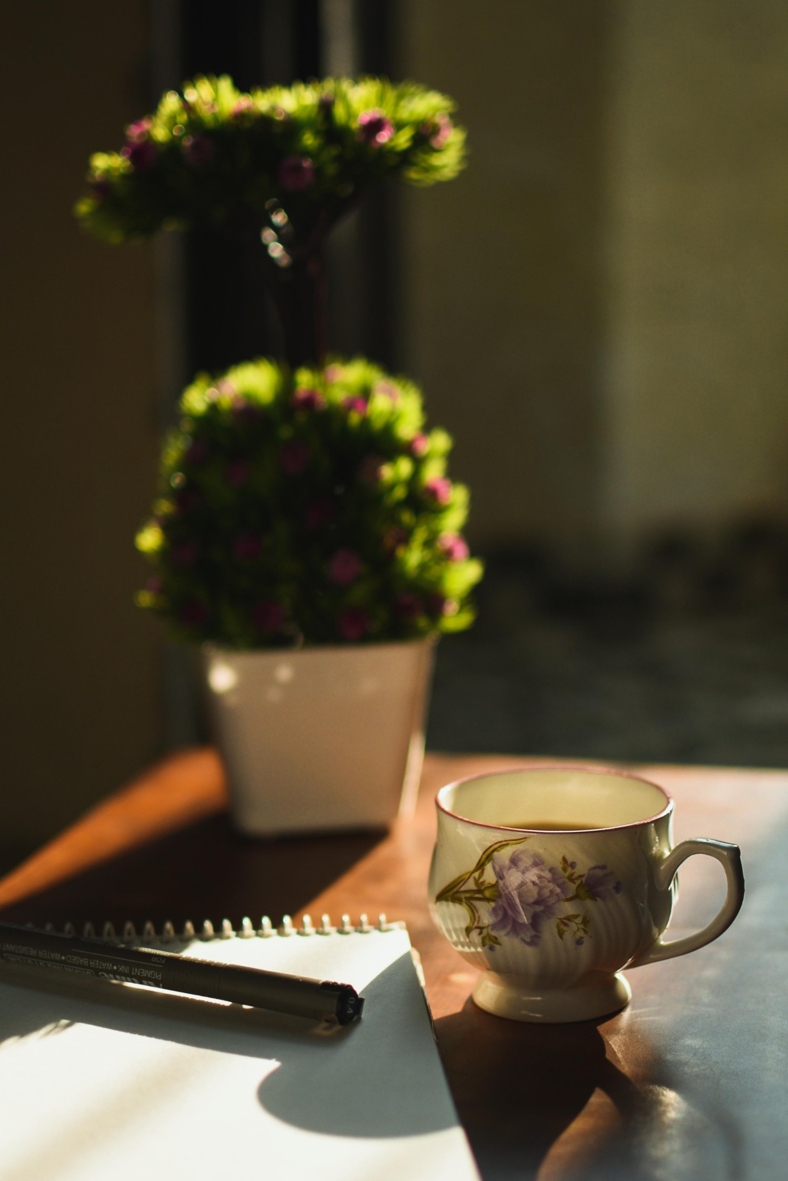 shooting with natural light as backlight - image 1 - student project