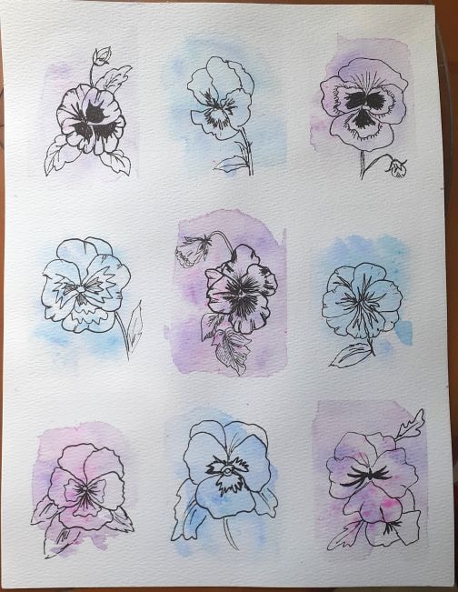 Watercolor and Line Art - Pansies - image 1 - student project