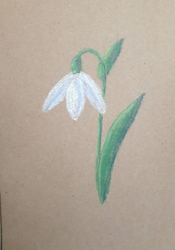 CP Snow Drops - image 1 - student project