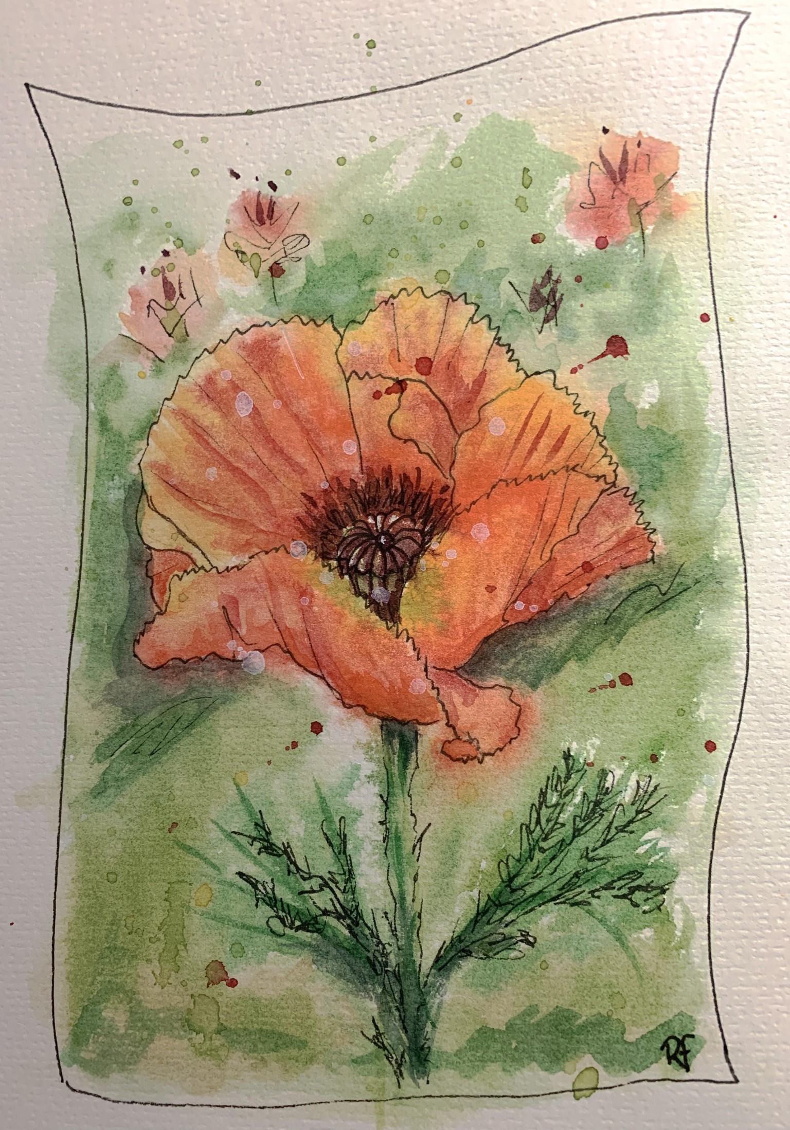 Pen and Wash Poppies - image 1 - student project