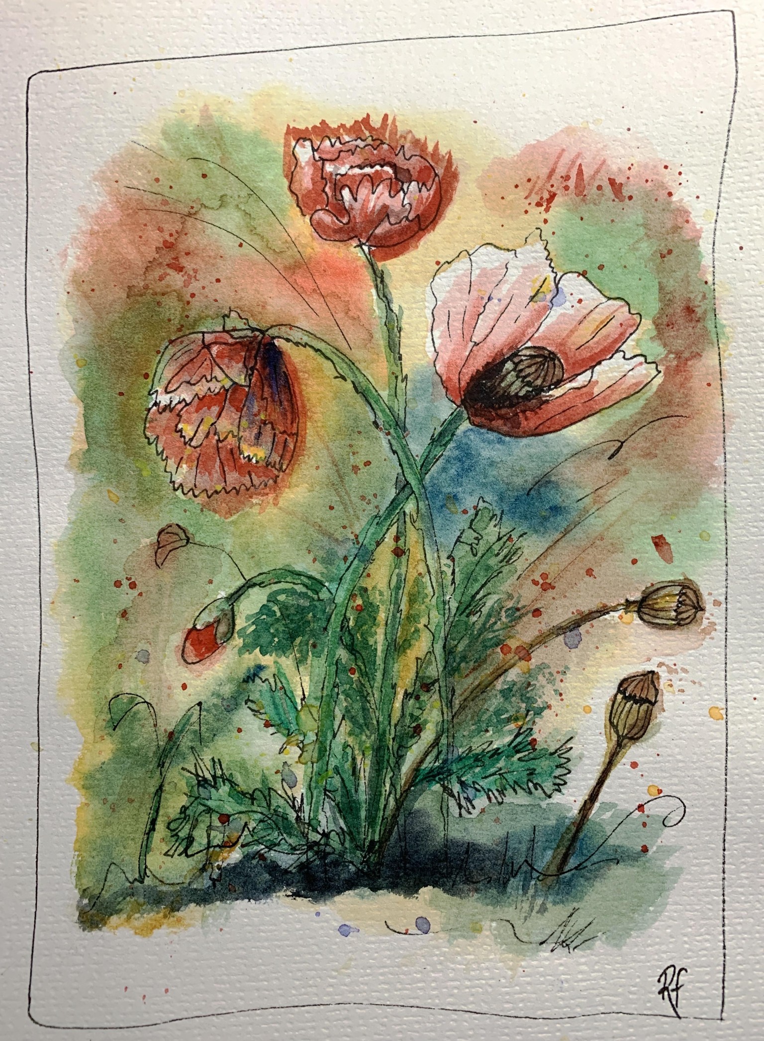 Pen and Wash Poppies - image 2 - student project
