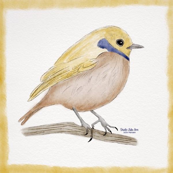 Digital Watercolor Bird - image 1 - student project