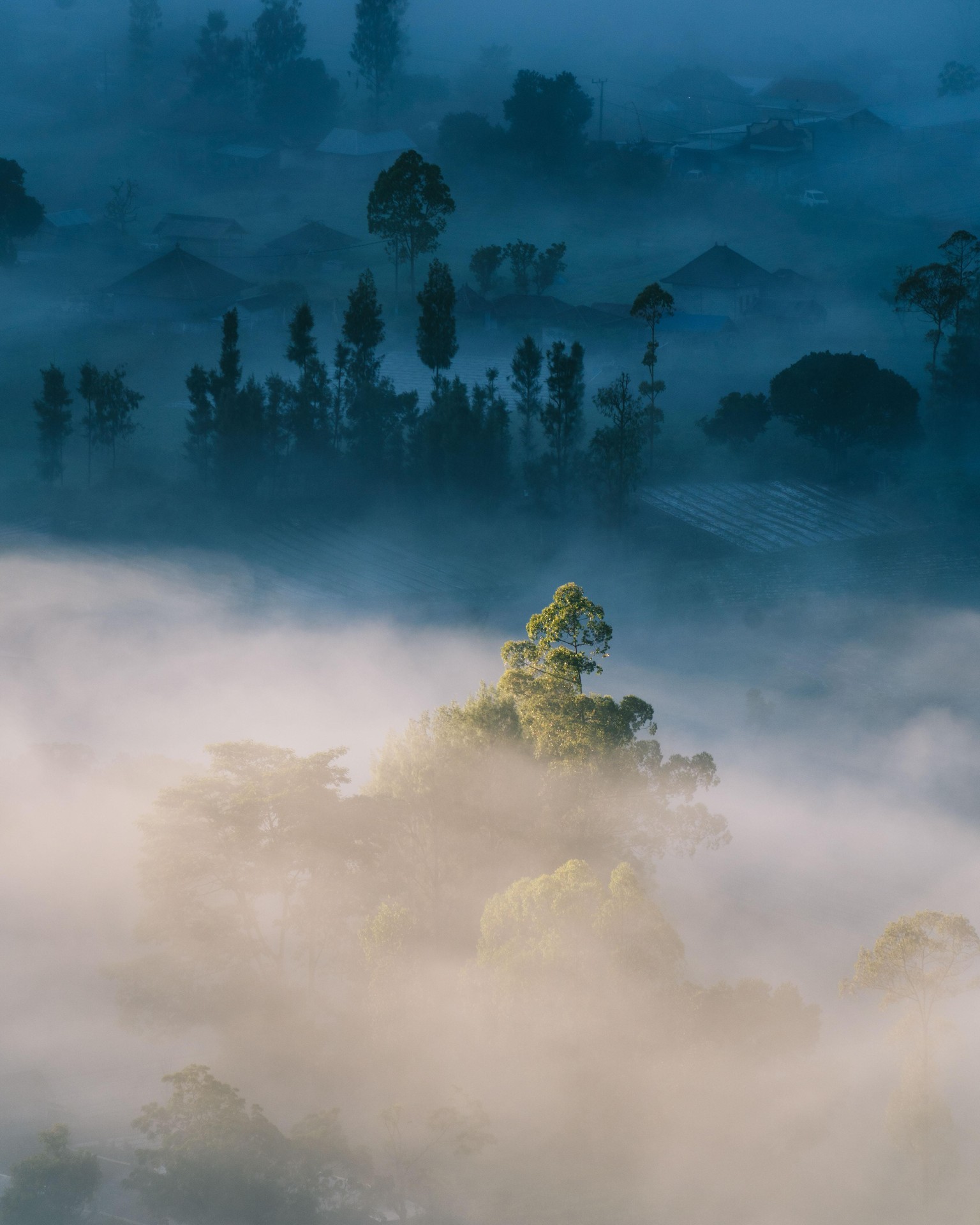 Landscape Photography for Earth Day in Bali - image 3 - student project