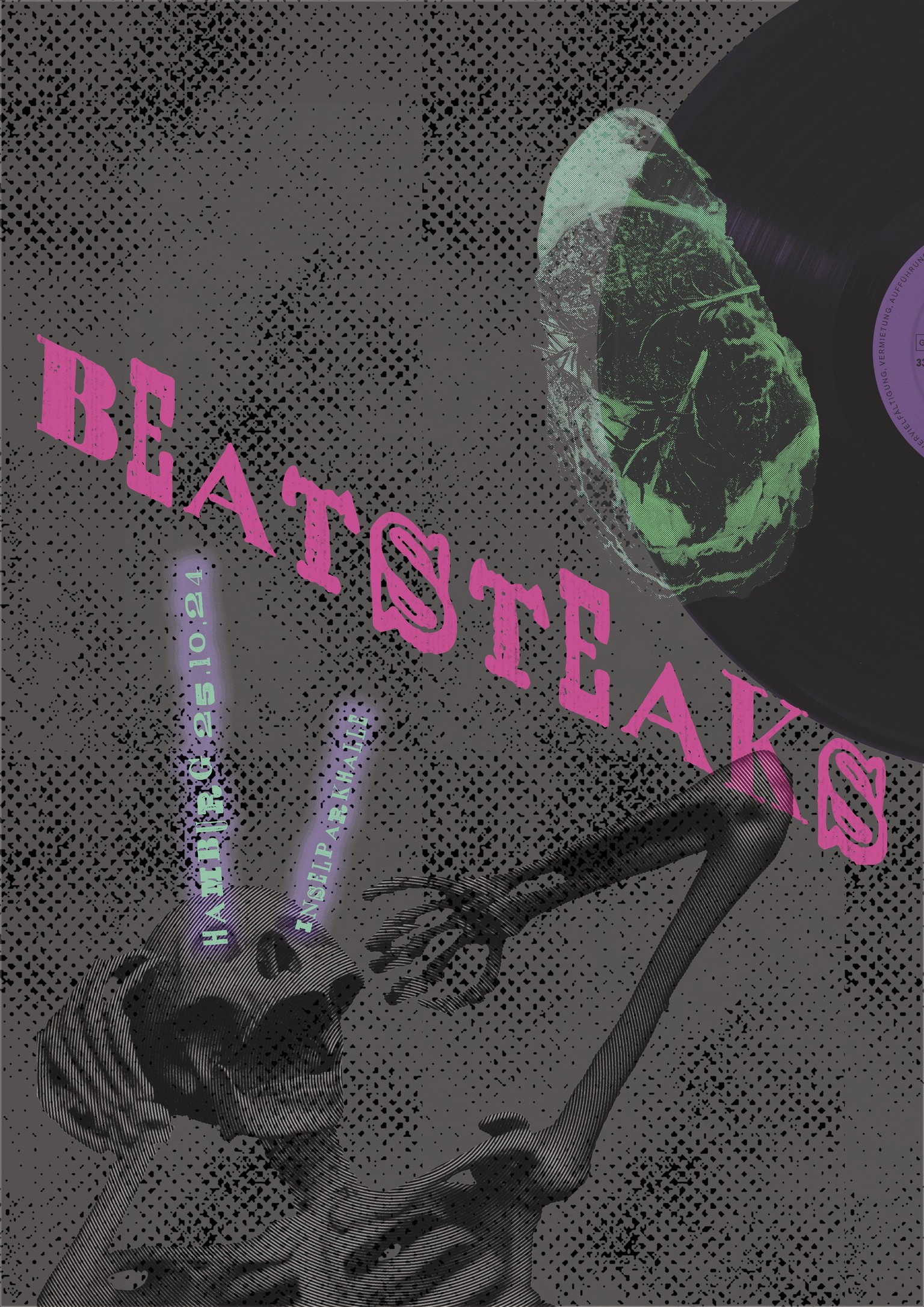 Beatsteaks Hamburg 25. 10. 24 - image 1 - student project