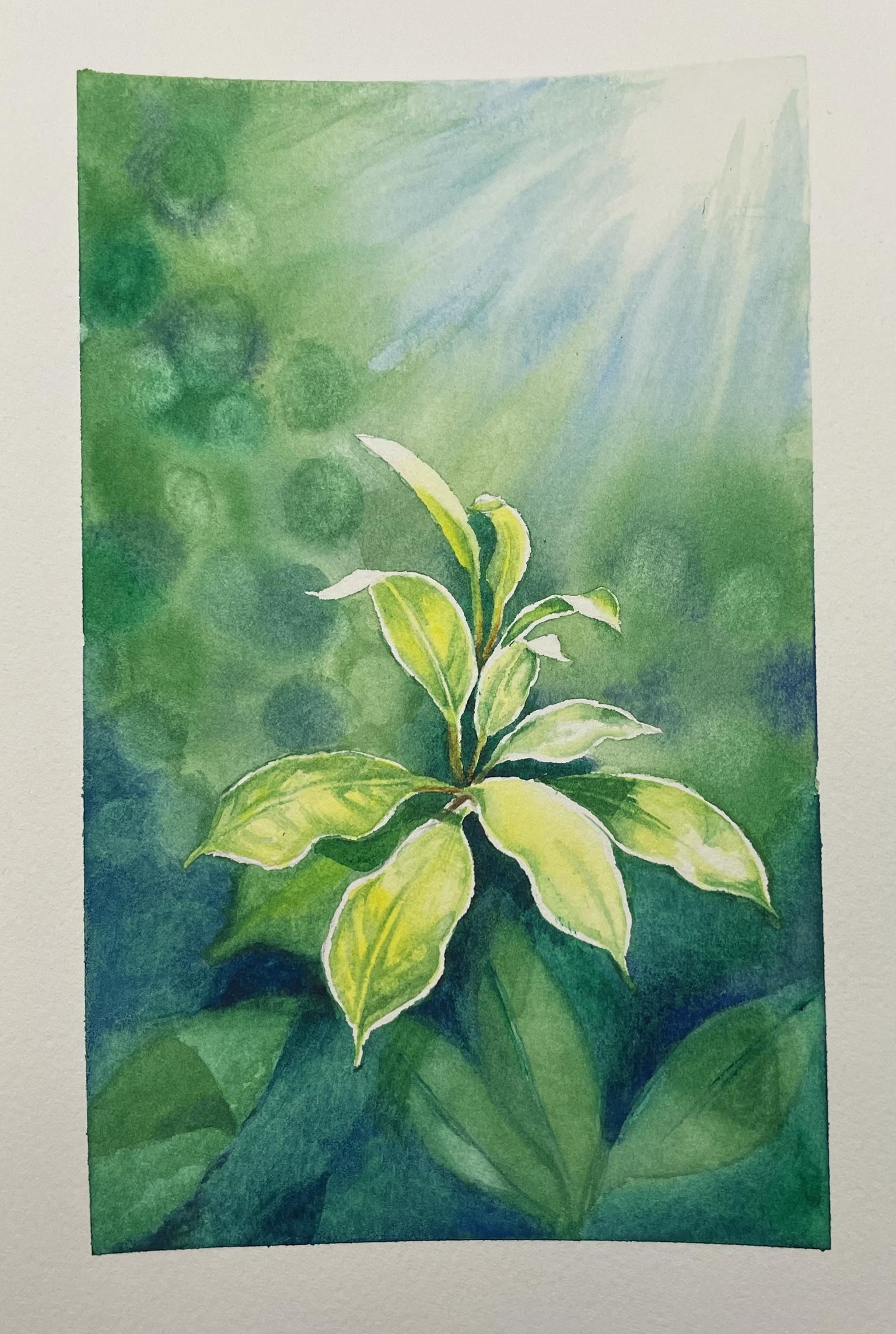 Light from above - image 2 - student project