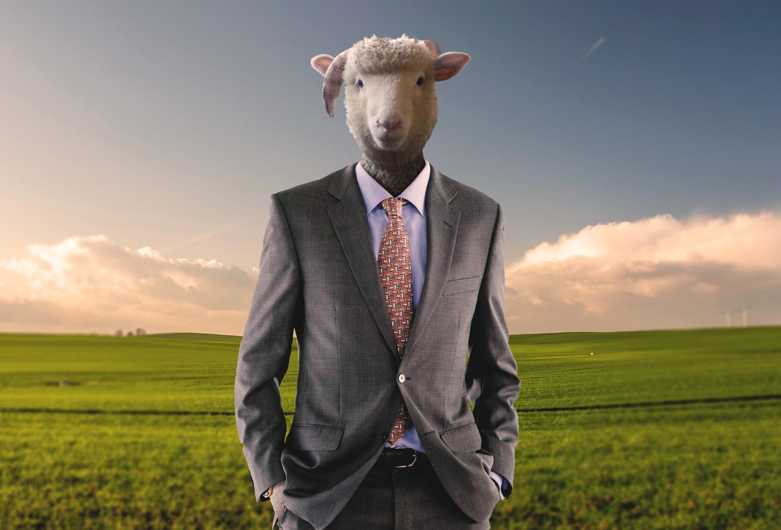 Various Photo Manipulation & Editing Projects - image 8 - student project