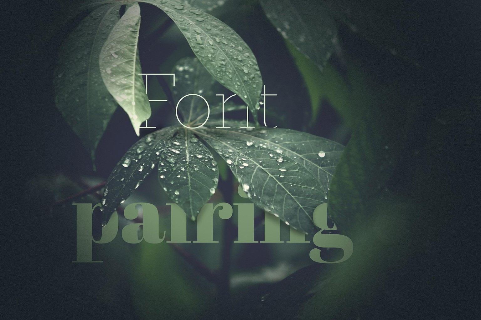 Various Photo Manipulation & Editing Projects - image 3 - student project