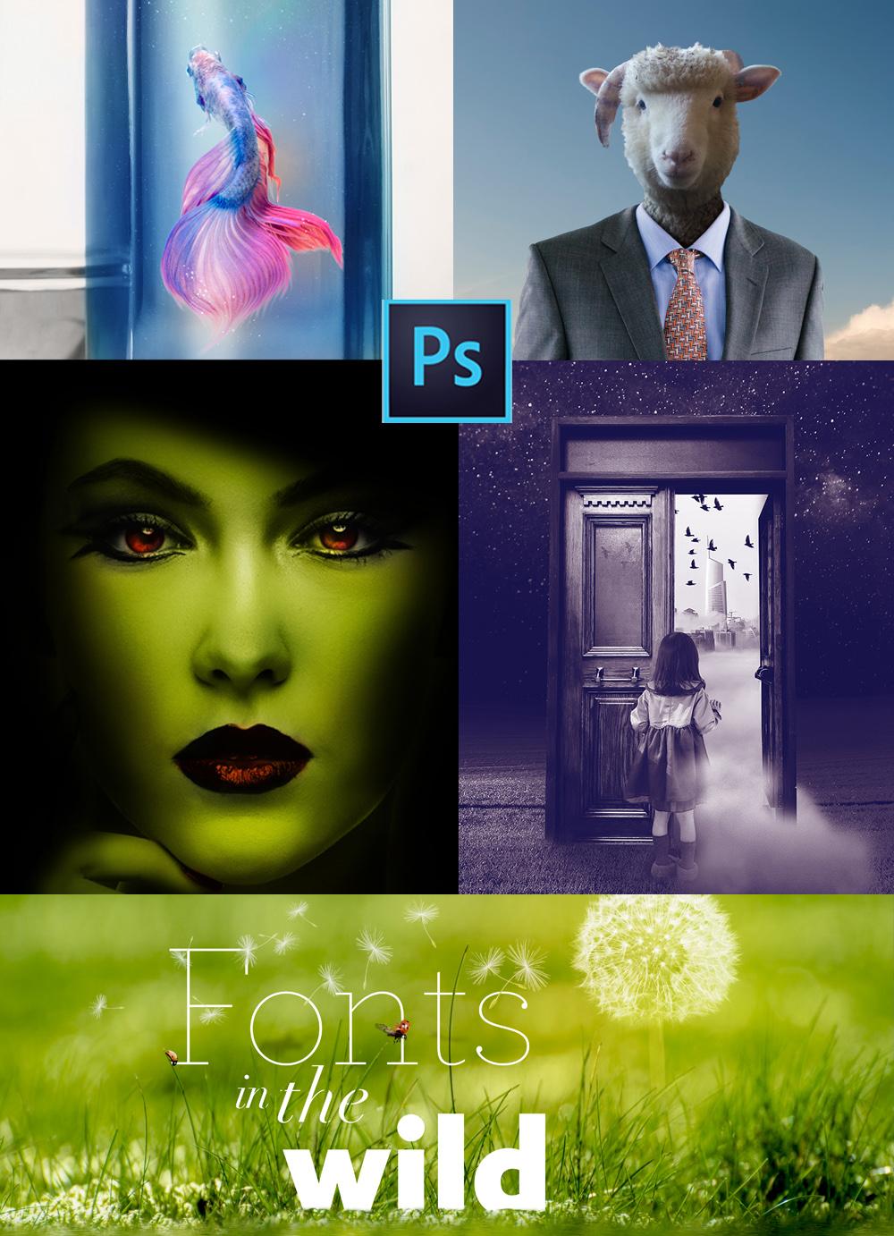Various Photo Manipulation & Editing Projects - image 1 - student project