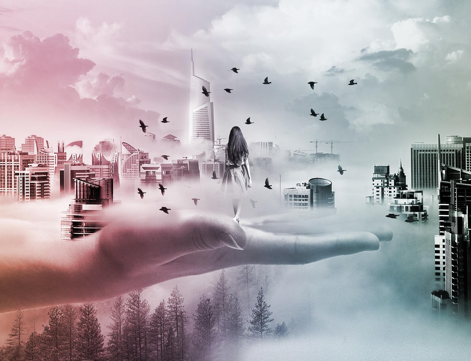 Various Photo Manipulation & Editing Projects - image 13 - student project