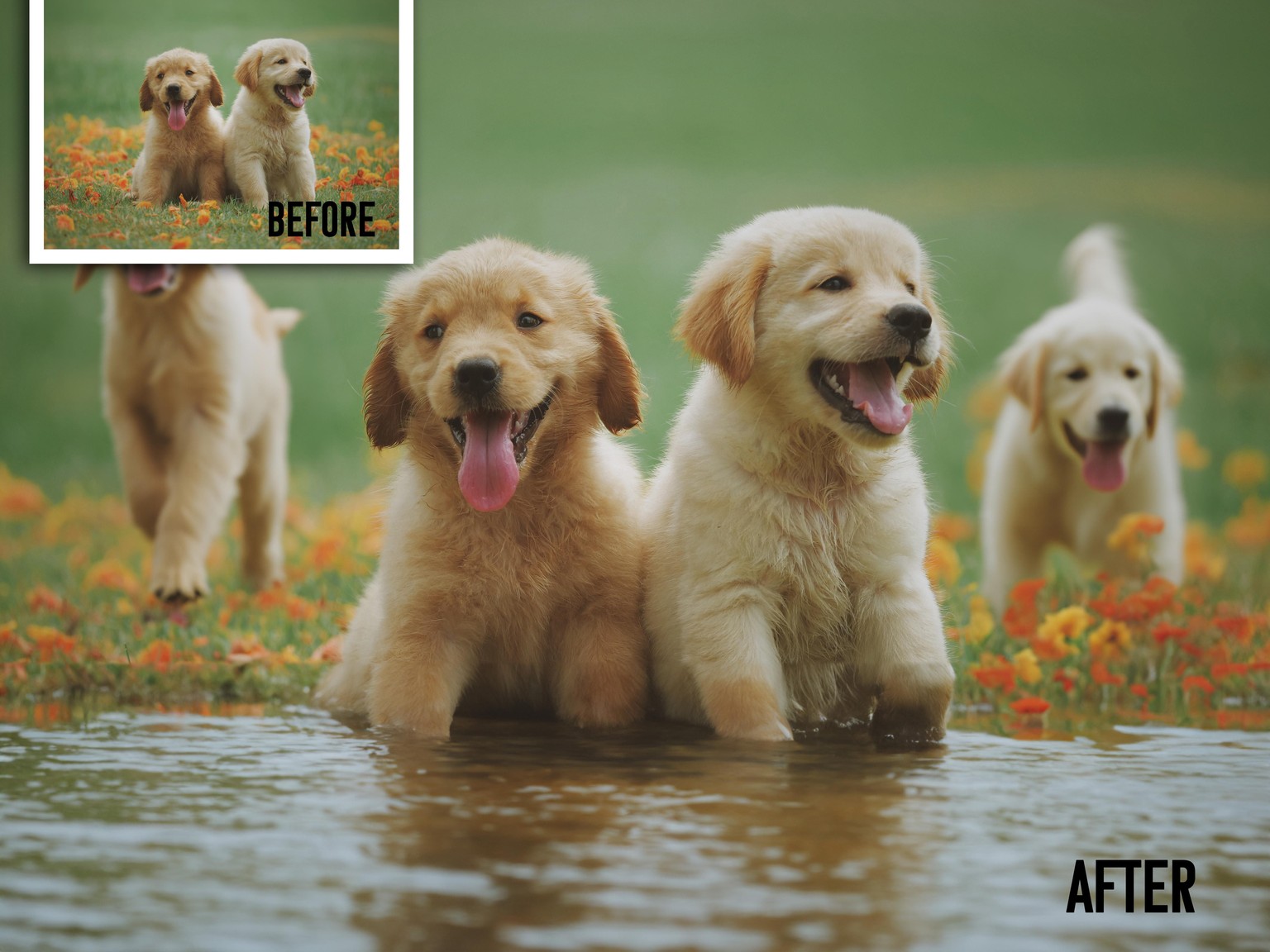 The Adobe Photoshop - Generative Fill Projects - image 4 - student project
