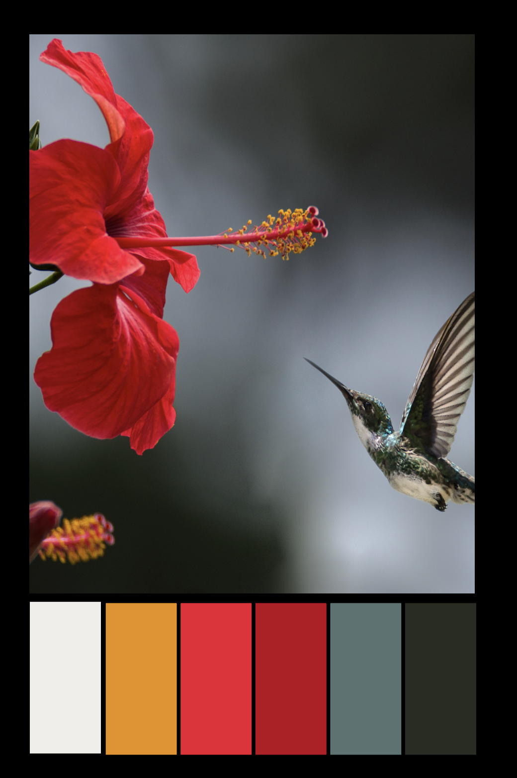 Color Theory Projects - Color Palettes - image 3 - student project