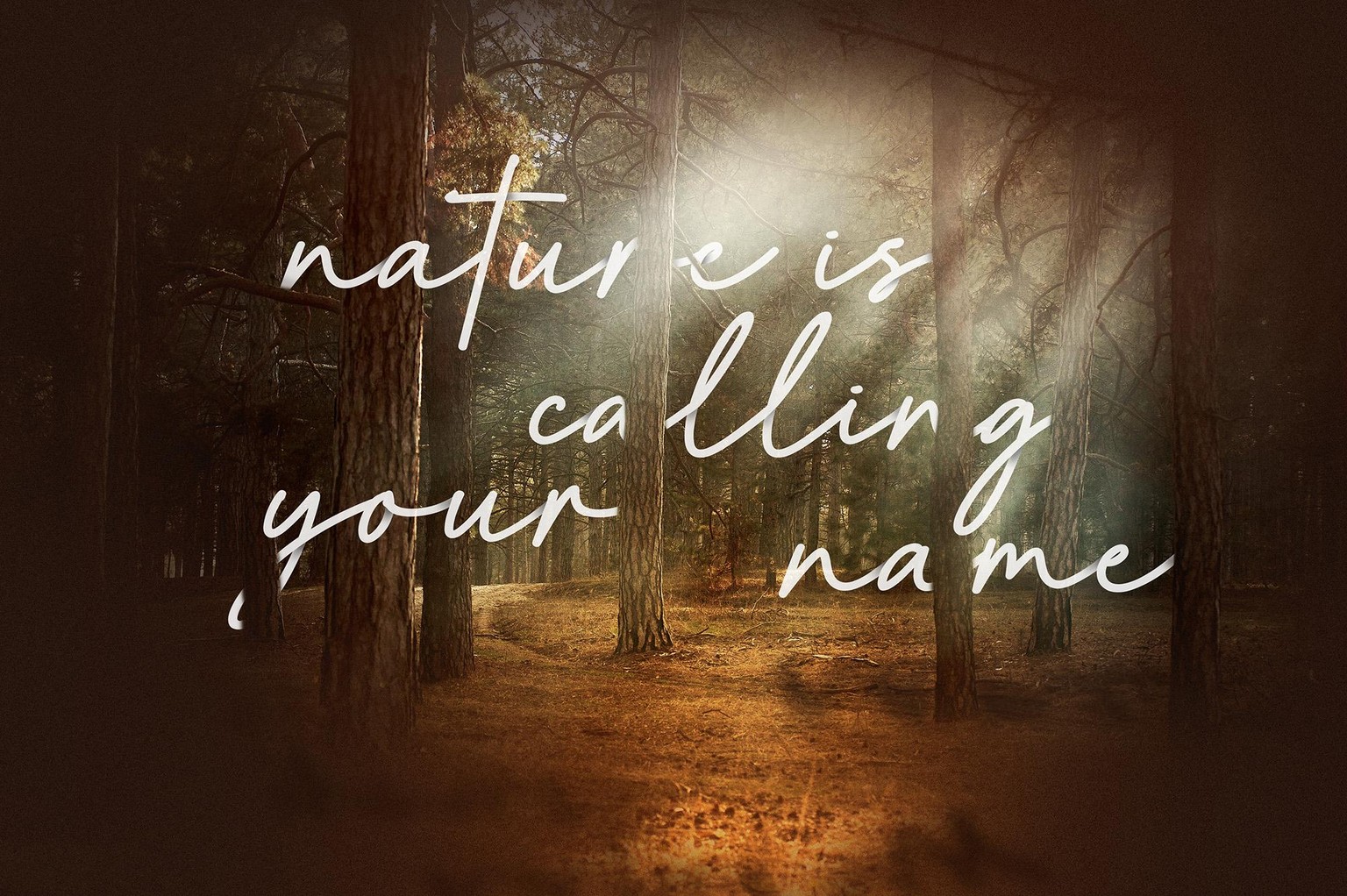 Various Photo Manipulation & Editing Projects - image 4 - student project