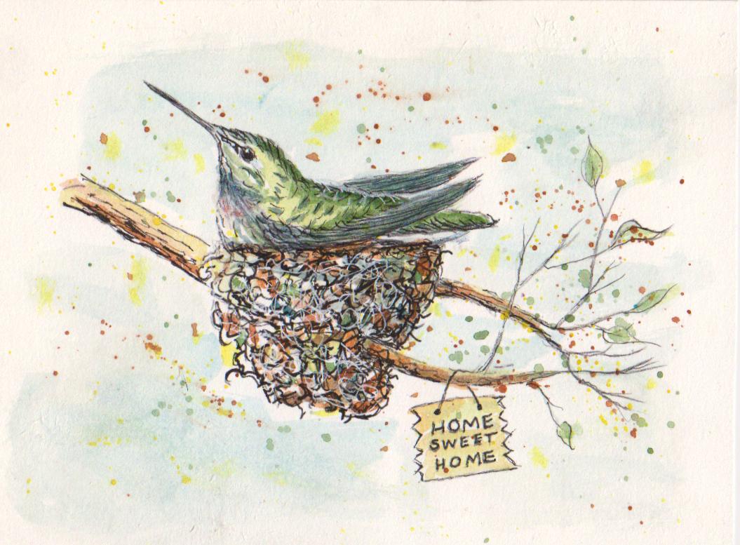 Hummingbird - image 1 - student project