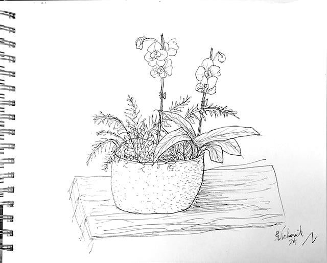 Loose drawing - image 1 - student project