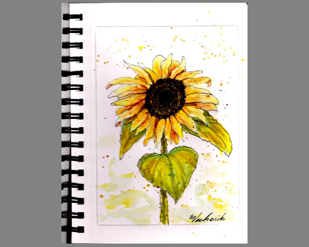 Watercolor sunflower - image 1 - student project