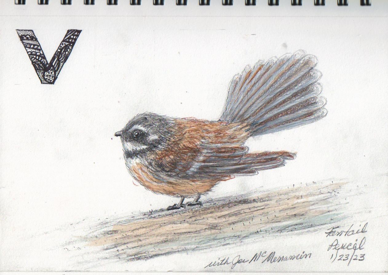On my way to pen and ink (I hope) - image 1 - student project