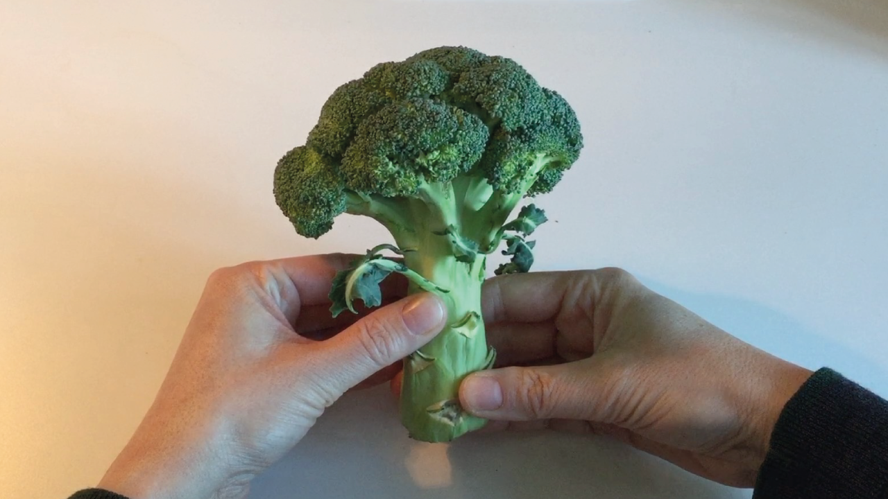 The Broccoli Show - A drawing example project - image 1 - student project