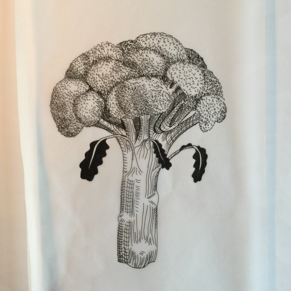 The Broccoli Show - A drawing example project - image 3 - student project