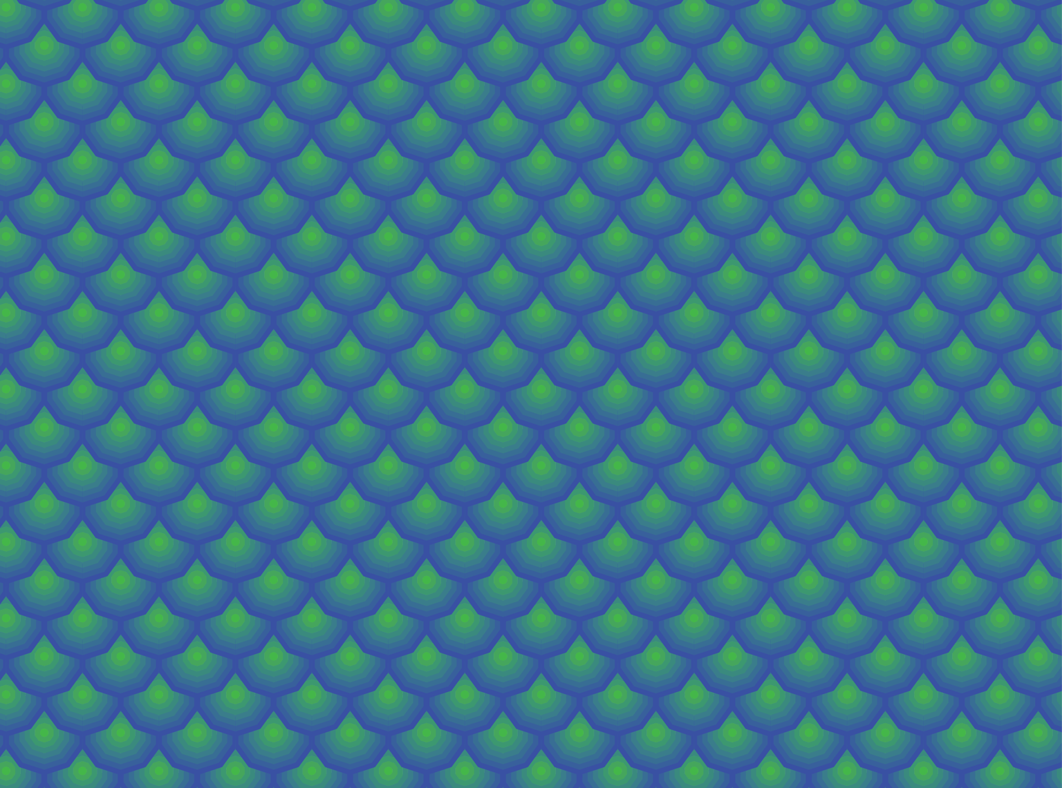 Patterns - image 2 - student project