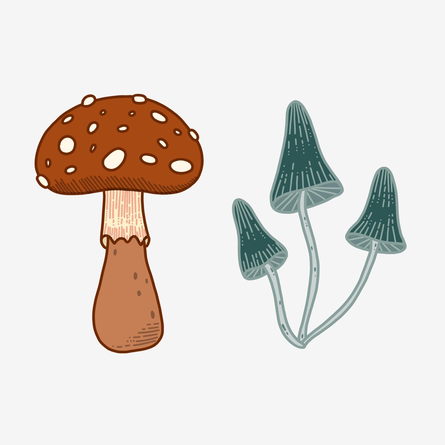 Mushroom Art in Procreate - image 2 - student project