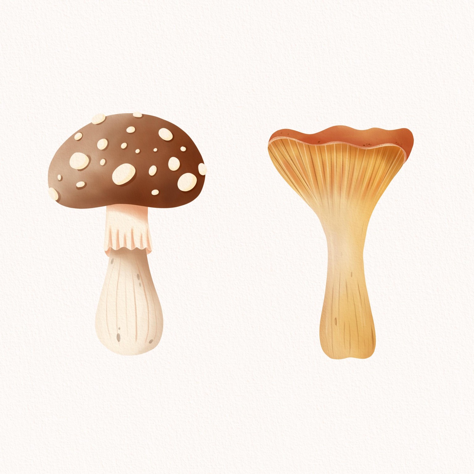 Mushroom Art in Procreate - image 4 - student project